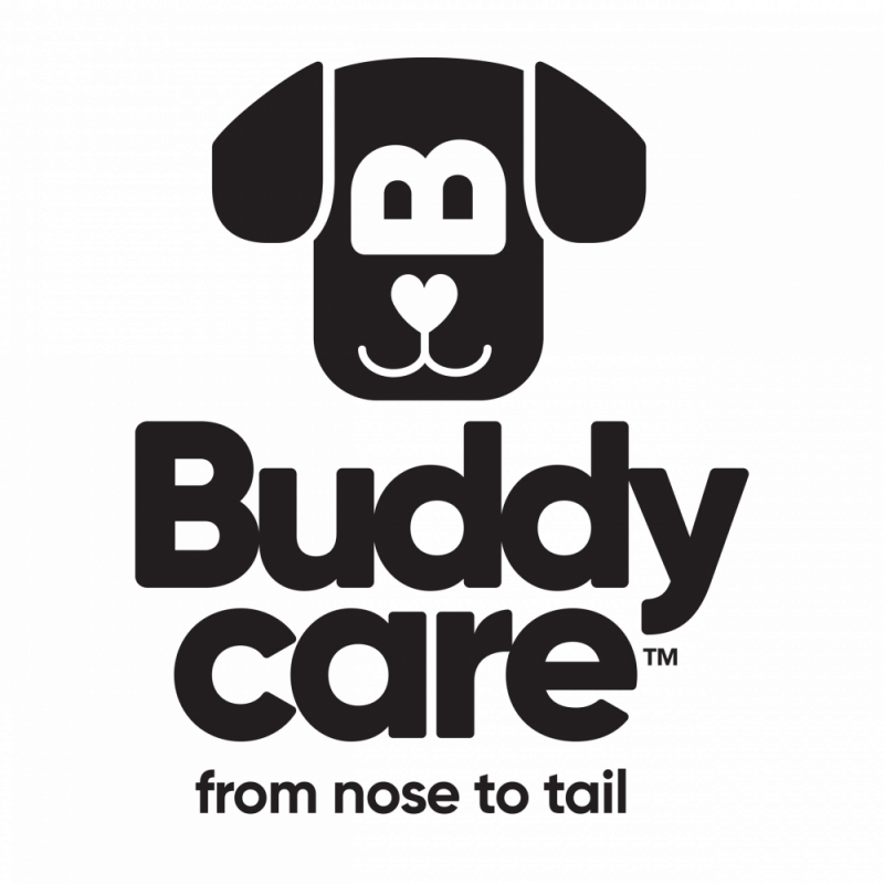 Buddycare logo - 300 dpi - transparent background